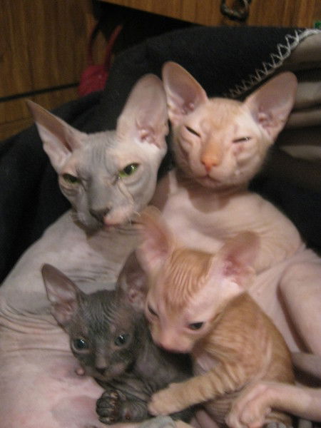 Татьяна Джабич