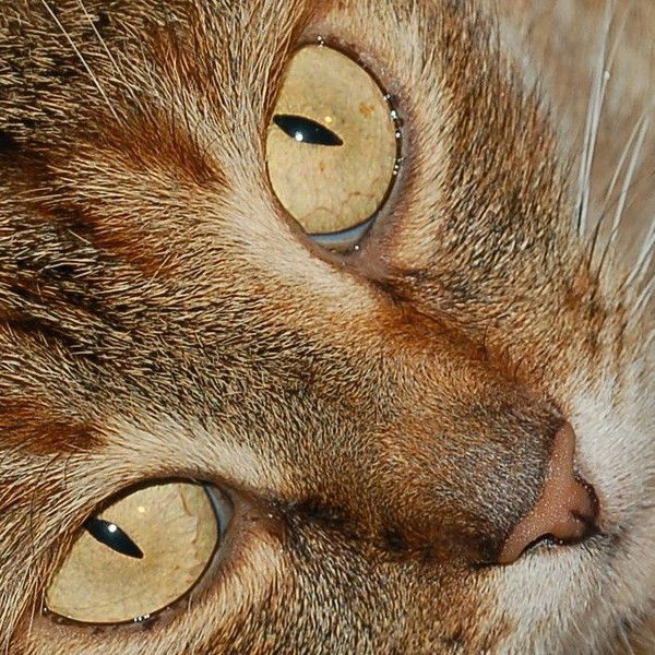 Сергей Постников