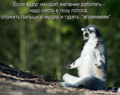 Андрей Чеснок