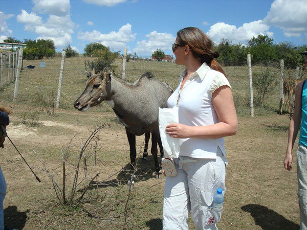 Кира Амнезия
