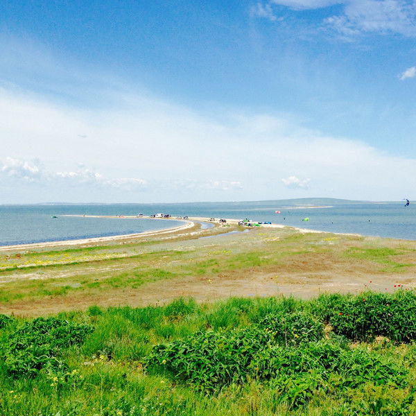 Неизвестно Неизвестно