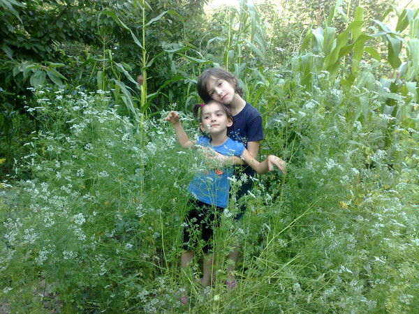 Ася Буттаева