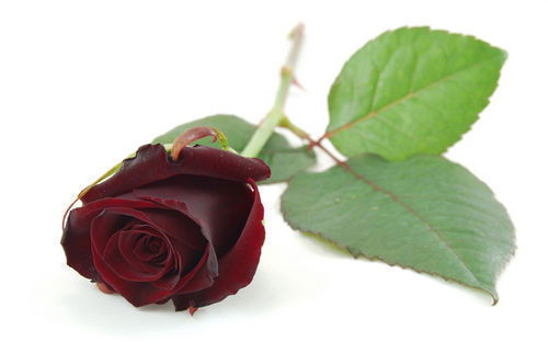 Татьяна Чикунова