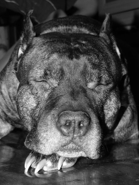 Эдуард Пономарёв