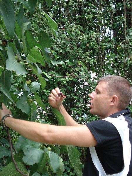 Сергей Федоринов