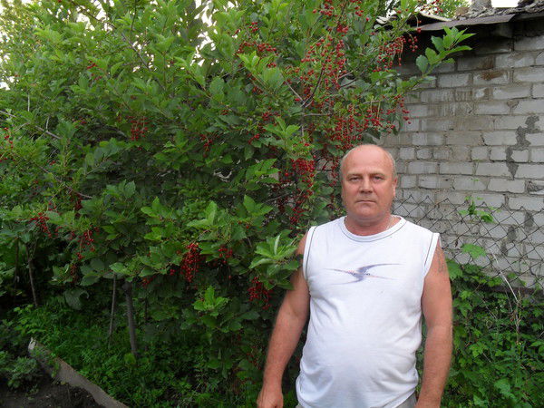 Неизвестно Неизвестно