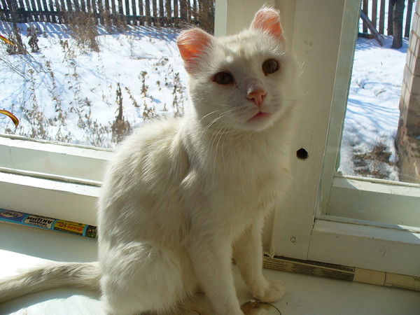 Наталья Ахметова