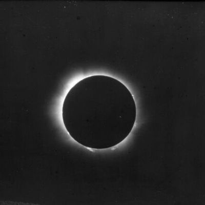 Зарина Мальсагова