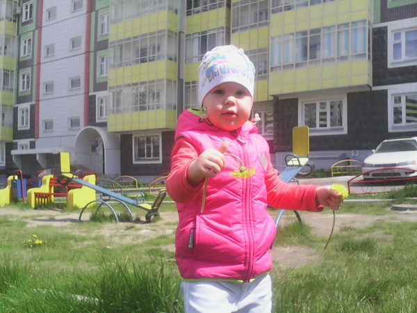 Юлия Соколова