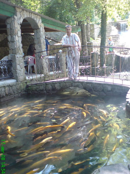 Борис Кривоногих