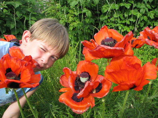 Тимофей Зизганов