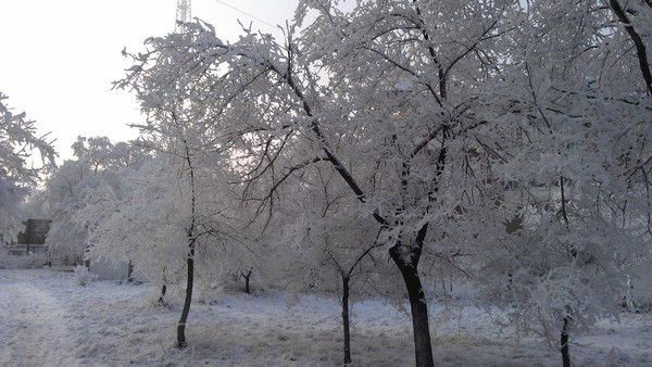 Максим Пузырев