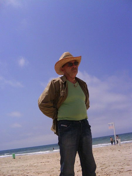 Лев Воловик