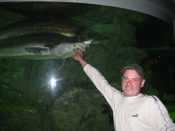 Александр Мурашко