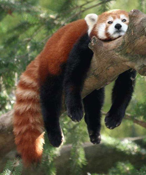 Кожевников Андрей