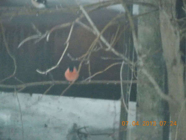 Лариса Куликова