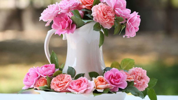 Нина Шутова