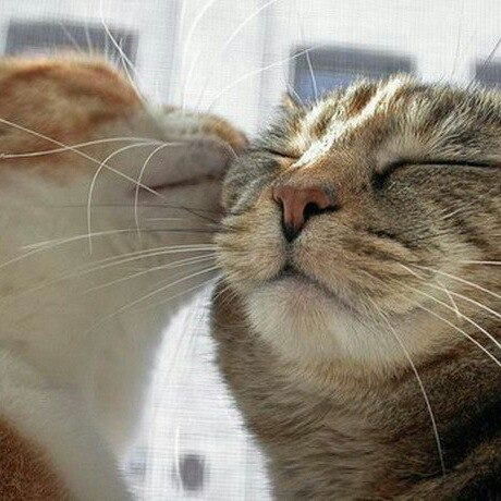 Ольга Мостовая