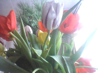 Юрий Скатов