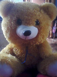 Анастасия Ковалева