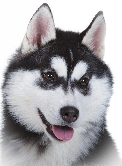 Лиана Гильманова