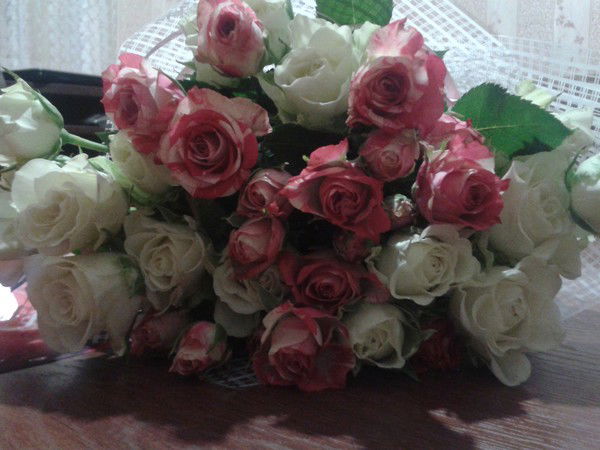 Светлана Сарафанова