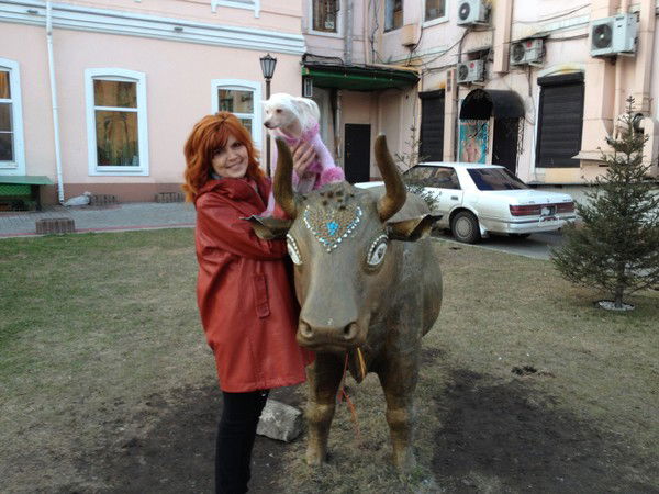 Eлена Ломакина