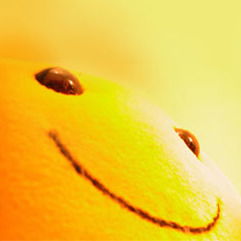 Локтионов Николай