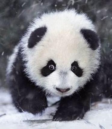 Анатолий Иванов