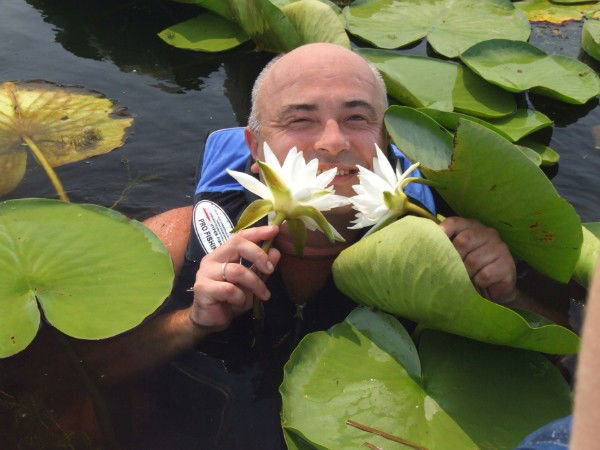 Дмитрий Фелдеши