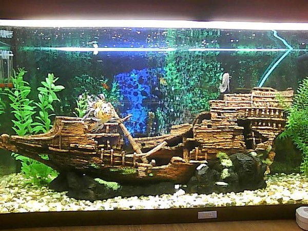 Андрей Тучков