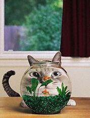 Владислав Гущин