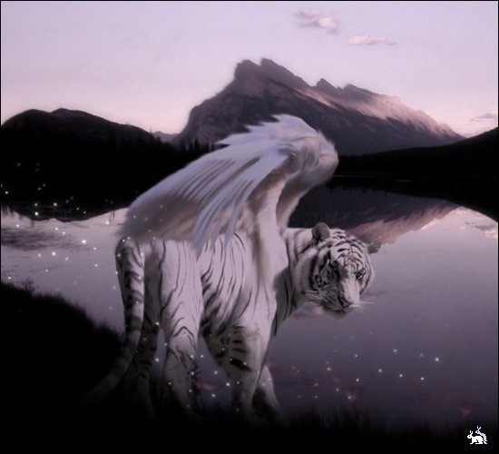 Светлана Птиса