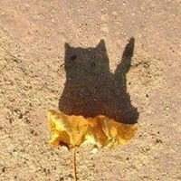 Валентина Кравченко