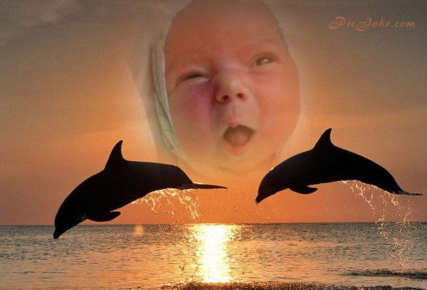 Пётр Кошкин