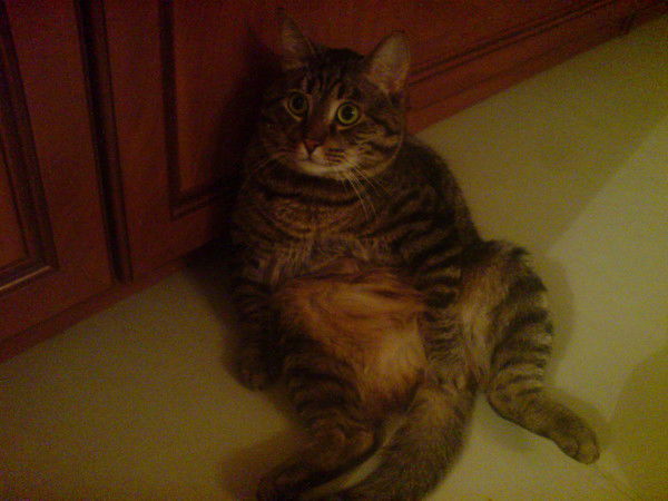 Andrey ......!.......