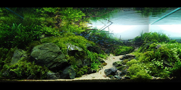 Кирилл Поносов