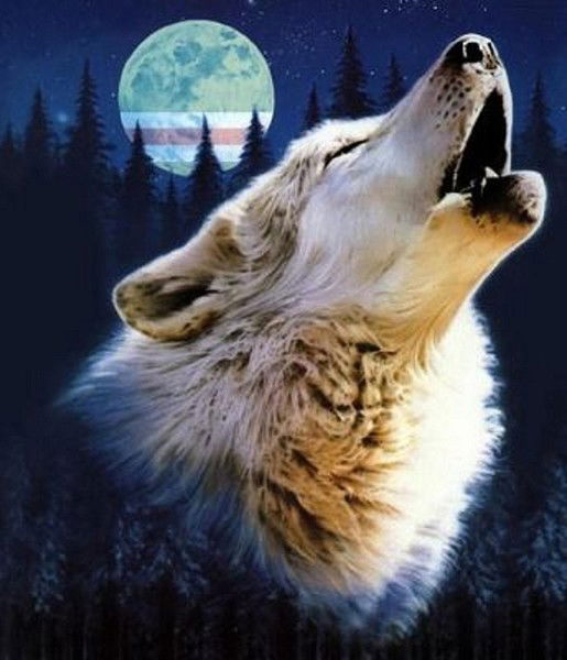 Александр Федоров