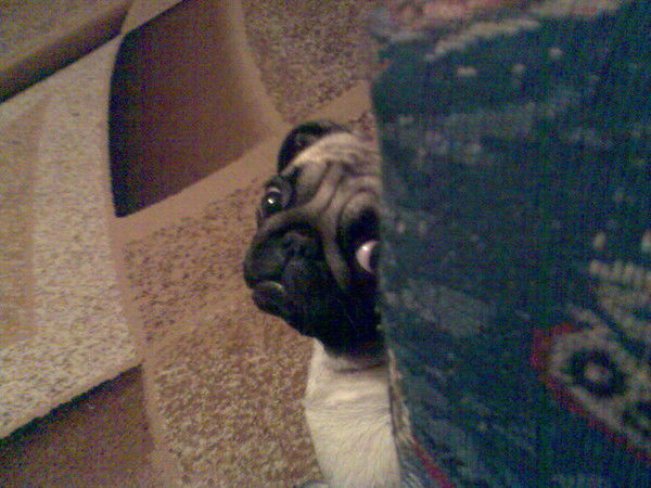 Юлия Шибаева