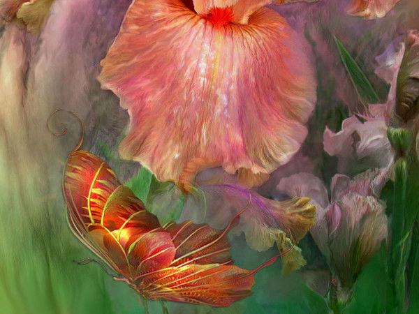 Анна Сокова