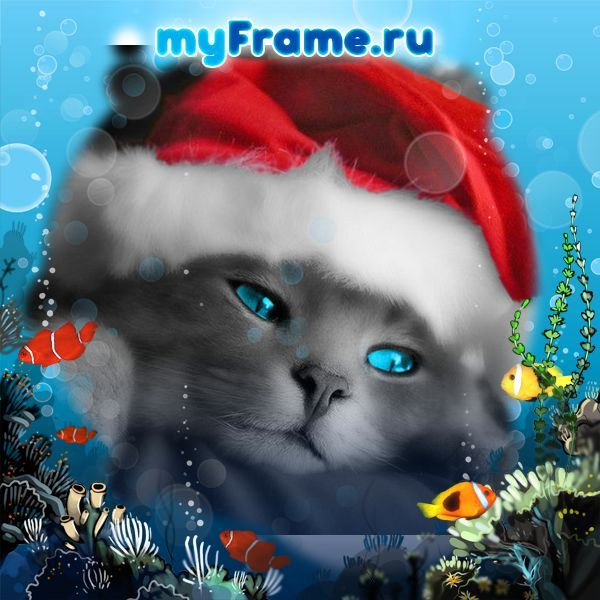 Евгений Вишняков