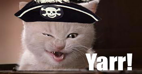 Константин Ханин