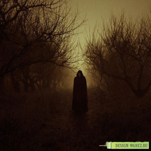 Сеньковец Андрей