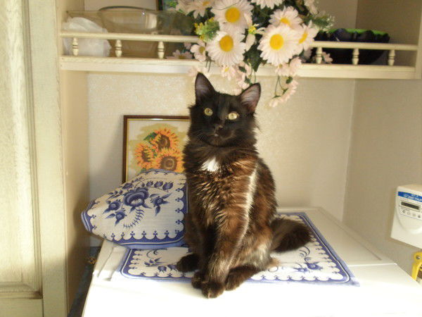 Вадим Сорокин