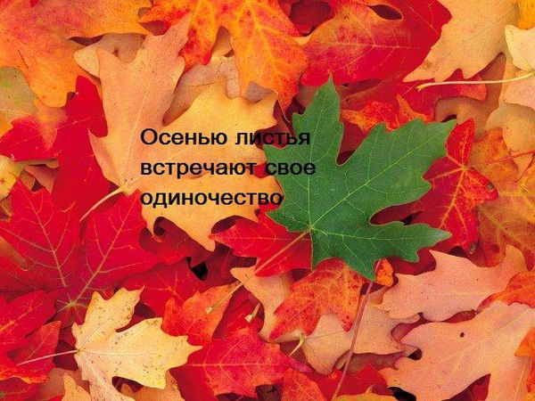 Лена Мерецкая