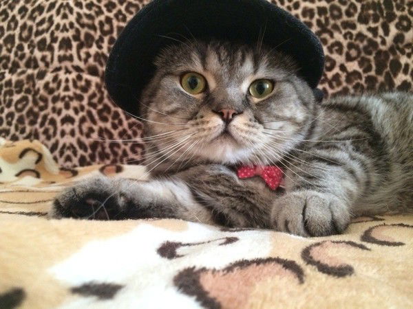 Михаил Батуев