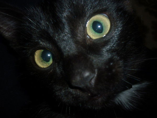 Егор Екимов