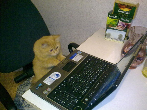 Иван Гультиков