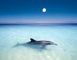 Катерина Пятлина