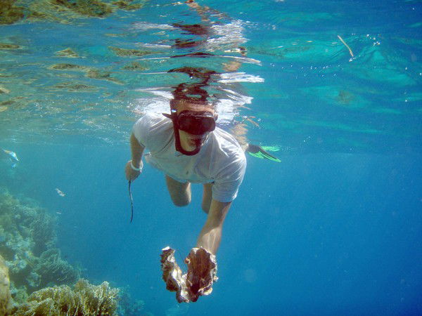 Александр Дударев